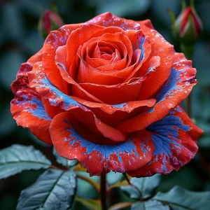 Роза Сикрет Гарден купить по цене от 619р. в интернет-магазине «Посадика» с доставкой почтой в в Острове и по всей России – [изображение №1].